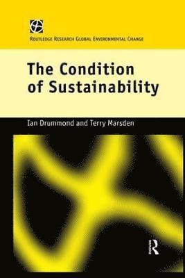 The Condition of Sustainability 1