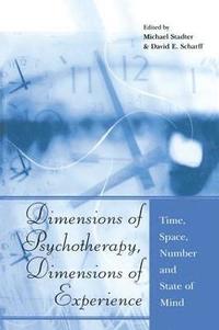 bokomslag Dimensions of Psychotherapy, Dimensions of Experience