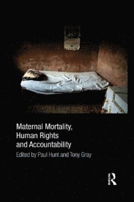 bokomslag Maternal Mortality, Human Rights and Accountability