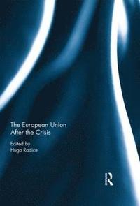 bokomslag European Union After the Crisis