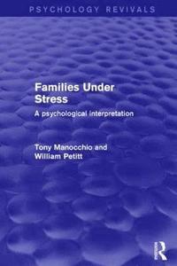 bokomslag Families Under Stress