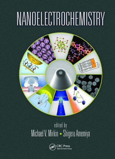 Michael V. Mirkin, Shigeru Amemiya - Nanoelectrochemistry, Häftad
