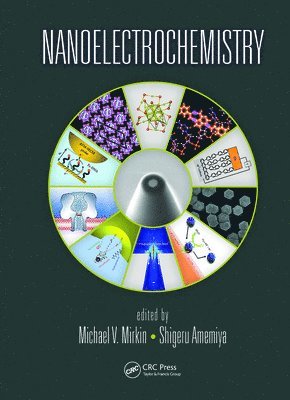 bokomslag Nanoelectrochemistry