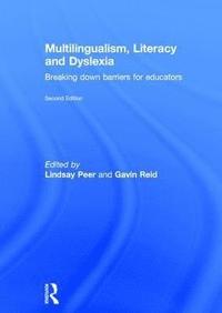 bokomslag Multilingualism, Literacy and Dyslexia