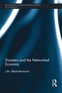 bokomslag Disasters and the Networked Economy