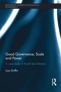 bokomslag Good Governance, Scale and Power