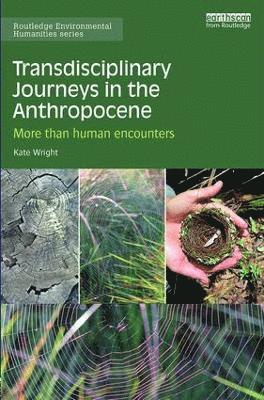 bokomslag Transdisciplinary Journeys in the Anthropocene