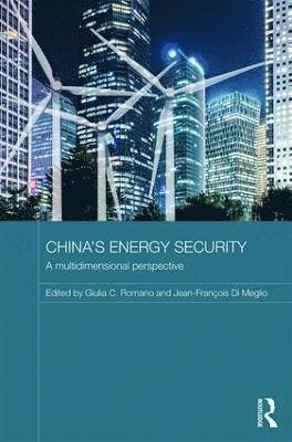 bokomslag China's Energy Security