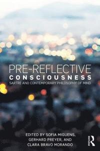 bokomslag Pre-reflective Consciousness