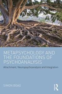 bokomslag Metapsychology and the Foundations of Psychoanalysis