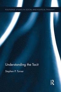 bokomslag Understanding the Tacit