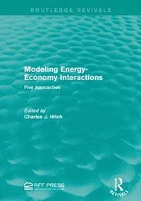 bokomslag Modeling Energy-Economy Interactions