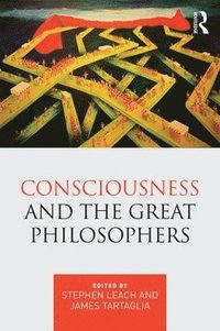 bokomslag Consciousness and the Great Philosophers