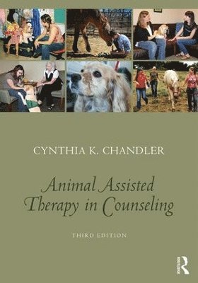 bokomslag Animal-Assisted Therapy in Counseling