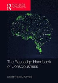 bokomslag The Routledge Handbook of Consciousness
