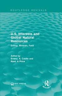 bokomslag U.S. Interests and Global Natural Resources
