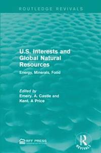 bokomslag U.S. Interests and Global Natural Resources