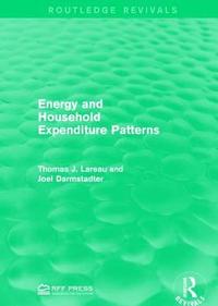 bokomslag Energy and Household Expenditure Patterns