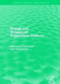 bokomslag Energy and Household Expenditure Patterns