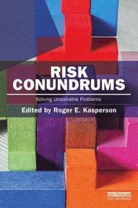 bokomslag Risk Conundrums