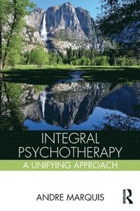 bokomslag Integral Psychotherapy