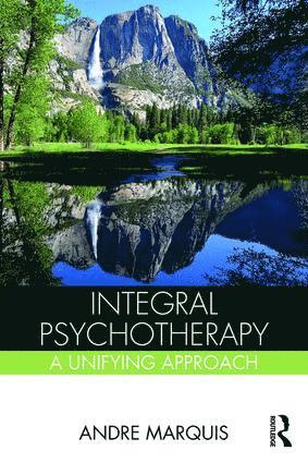 bokomslag Integral Psychotherapy