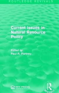 bokomslag Current Issues in Natural Resource Policy