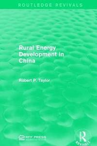 bokomslag Rural Energy Development in China