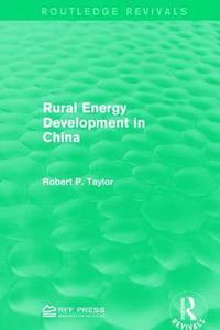 bokomslag Rural Energy Development in China