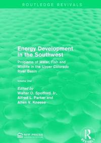 bokomslag Energy Development in the Southwest