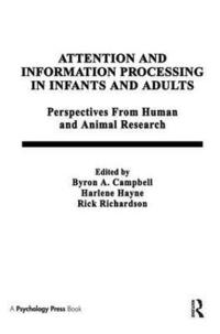 bokomslag Attention and information Processing in infants and Adults