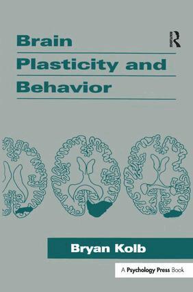Bryan Kolb - Brain Plasticity and Behavior, Häftad