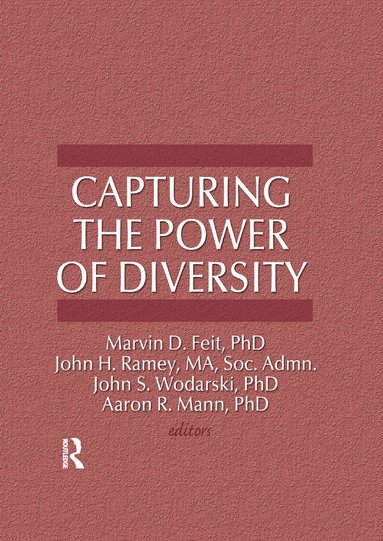 Marvin D Feit, John S Wodarski, John H Ramey, Aaron R Mann - Capturing the Power of Diversity, Häftad