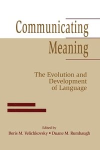 bokomslag Communicating Meaning