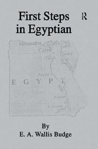 bokomslag First Steps In Egyptian