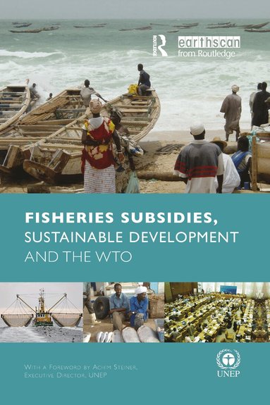 Anja von Moltke - Fisheries Subsidies, Sustainable Development and the WTO, Häftad