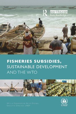 bokomslag Fisheries Subsidies, Sustainable Development and the WTO