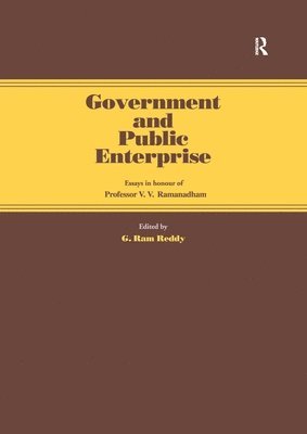 bokomslag Government and Public Enterprise