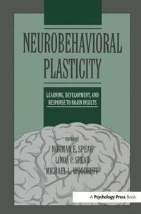 bokomslag Neurobehavioral Plasticity