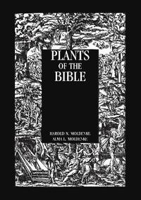 bokomslag Plants Of The Bible