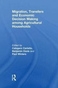 bokomslag Migration, Transfers and Economic Decision Making among Agricultural Households