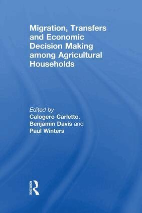 Calogero Carletto, Benjamin Davis, Paul Winters - Migration, Transfers and Economic Decision Making among Agricultural Households, Häftad