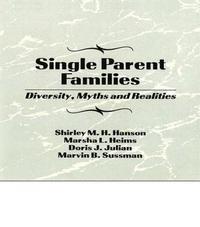 bokomslag Single Parent Families