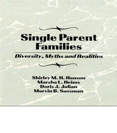 bokomslag Single Parent Families