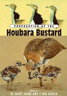 Propagation Of The Houbara Busta 1