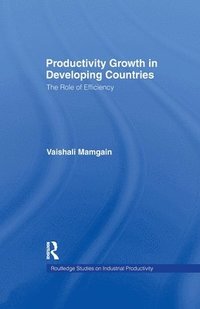 bokomslag Productivity Growth in Developing Countries