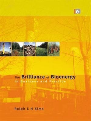 bokomslag The Brilliance of Bioenergy