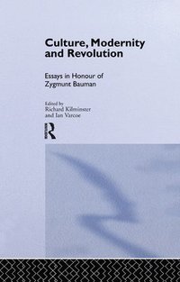 bokomslag Culture, Modernity and Revolution