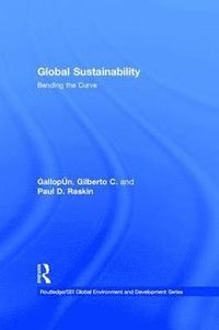 bokomslag Global Sustainability