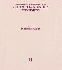 bokomslag Judaeo Arabic Studies